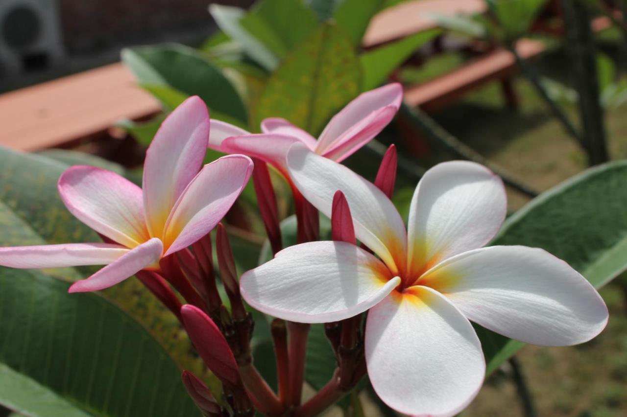 北谷 Vacation House Malapua Chatan Exteriör bild